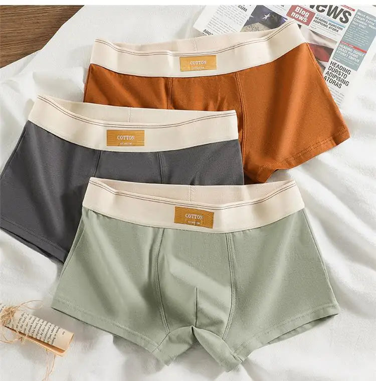 Intims - Lot de 5 Boxers 100% Coton Respirant - 59234FR