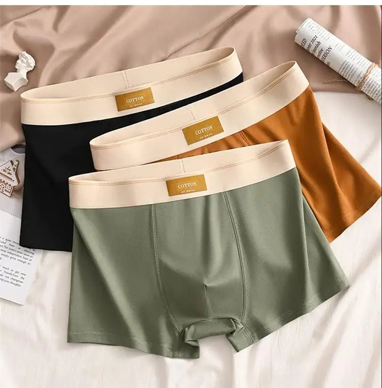 Intims - Lot de 5 Boxers 100% Coton Respirant - 59234FR