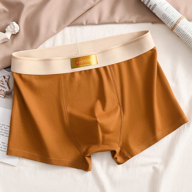 Intims - Lot de 5 Boxers 100% Coton Respirant - 59234FR