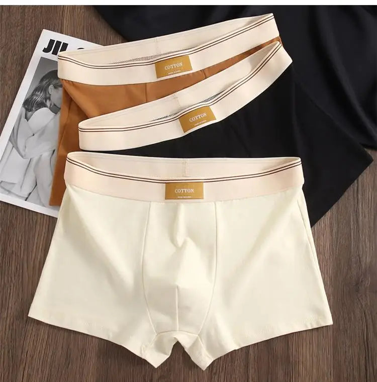 Intims - Lot de 5 Boxers 100% Coton Respirant - 59234FR