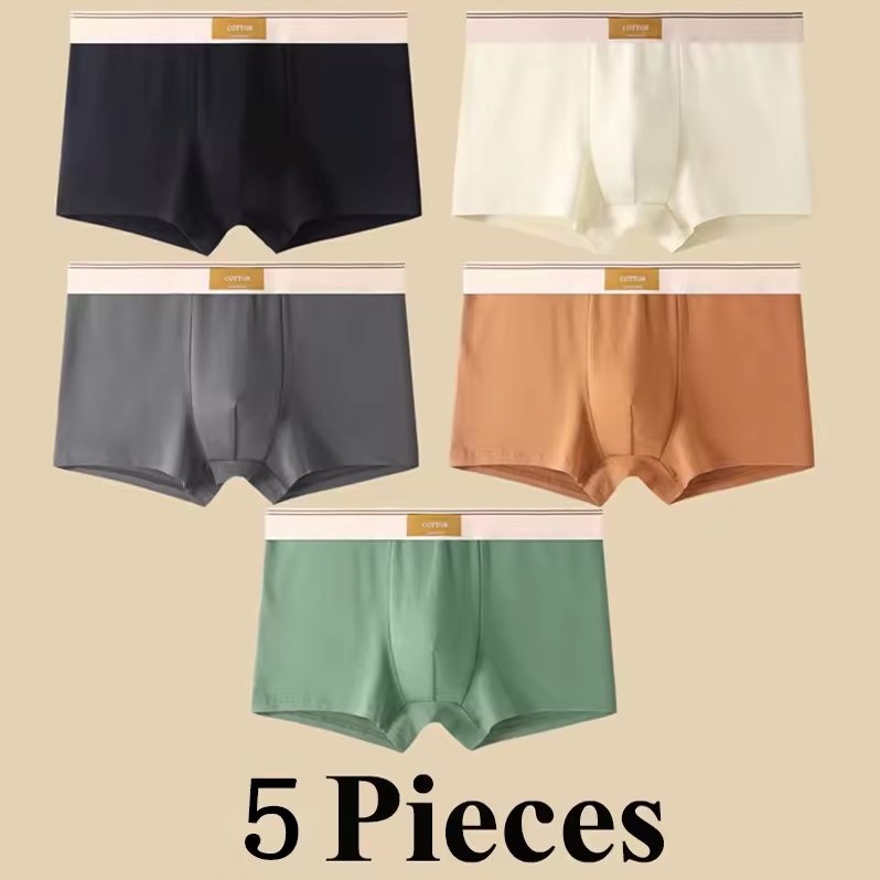 Intims - Lot de 5 Boxers 100% Coton Respirant - 59234FR