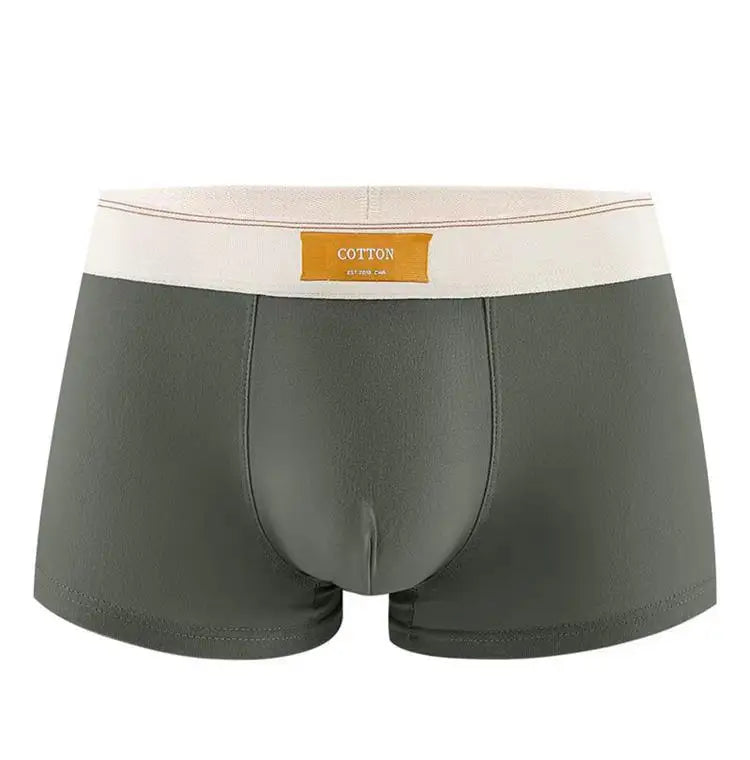 Intims - Lot de 5 Boxers 100% Coton Respirant - 59234FR