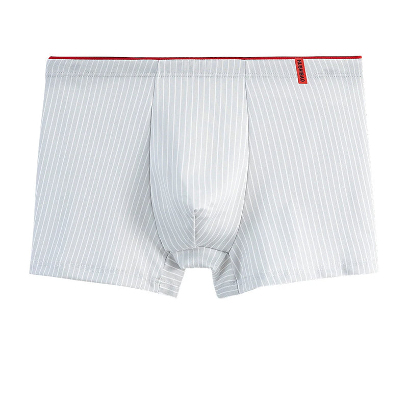 Intims - Lot de 4 Boxers en Coton à Rayures pour Hommes - 58214FR