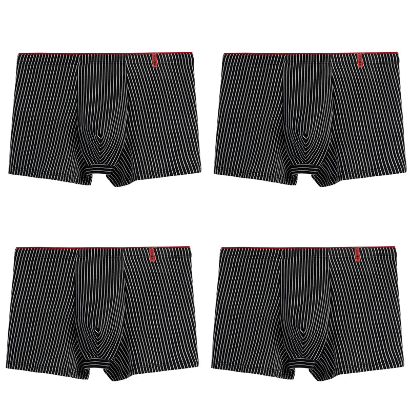 Intims - Lot de 4 Boxers en Coton à Rayures pour Hommes - 58214FR
