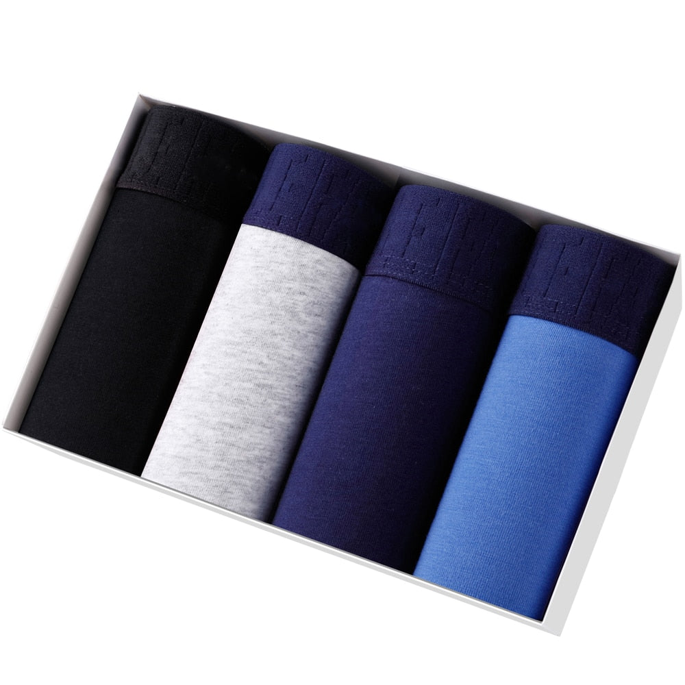 Intims - Box of 4 Cotton Boxers