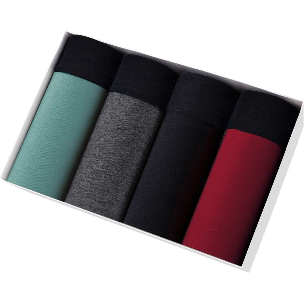 Intims - Pack of 4 Classic Cotton Boxers